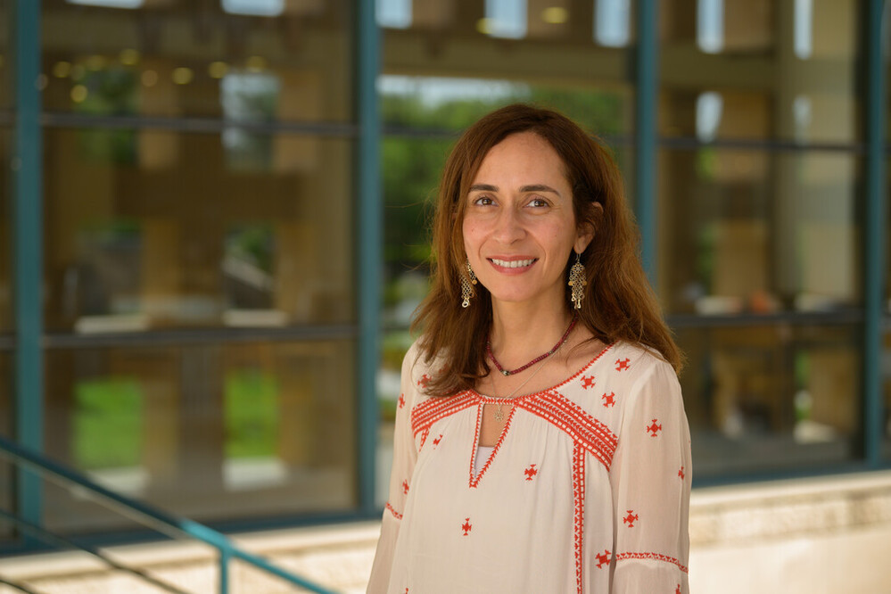 Noha Abou-Khatwa
